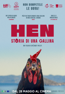 HEN - STORIA DI UNA GALLINA
